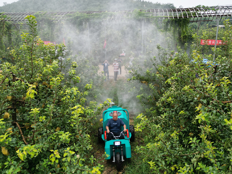 自走式風(fēng)送果園打藥機(jī)果樹(shù)植保作業(yè)